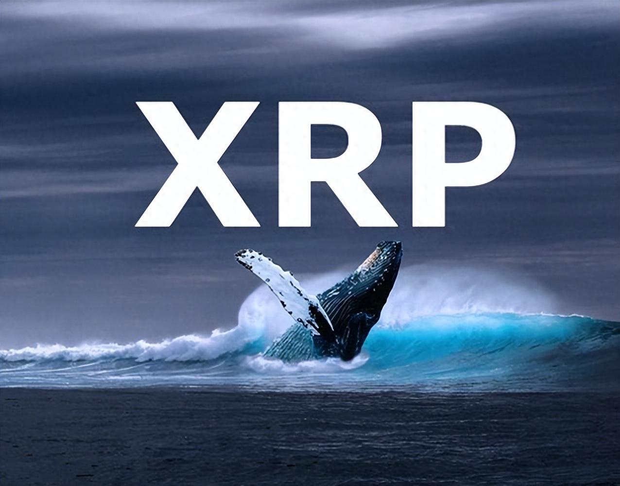 XRP上扬势惊人，一夜飙升35%，加密市场沸腾的简单介绍